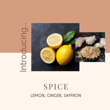 Load image into Gallery viewer, Spice Soy Candle - Infusion Candle Co.