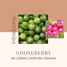 Load image into Gallery viewer, Gooseberry Soy Candle - Infusion Candle Co.