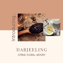 Load image into Gallery viewer, Darjeeling Soy Candle - Infusion Candle Co.