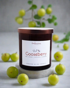 Gooseberry Soy Candle - Infusion Candle Co.